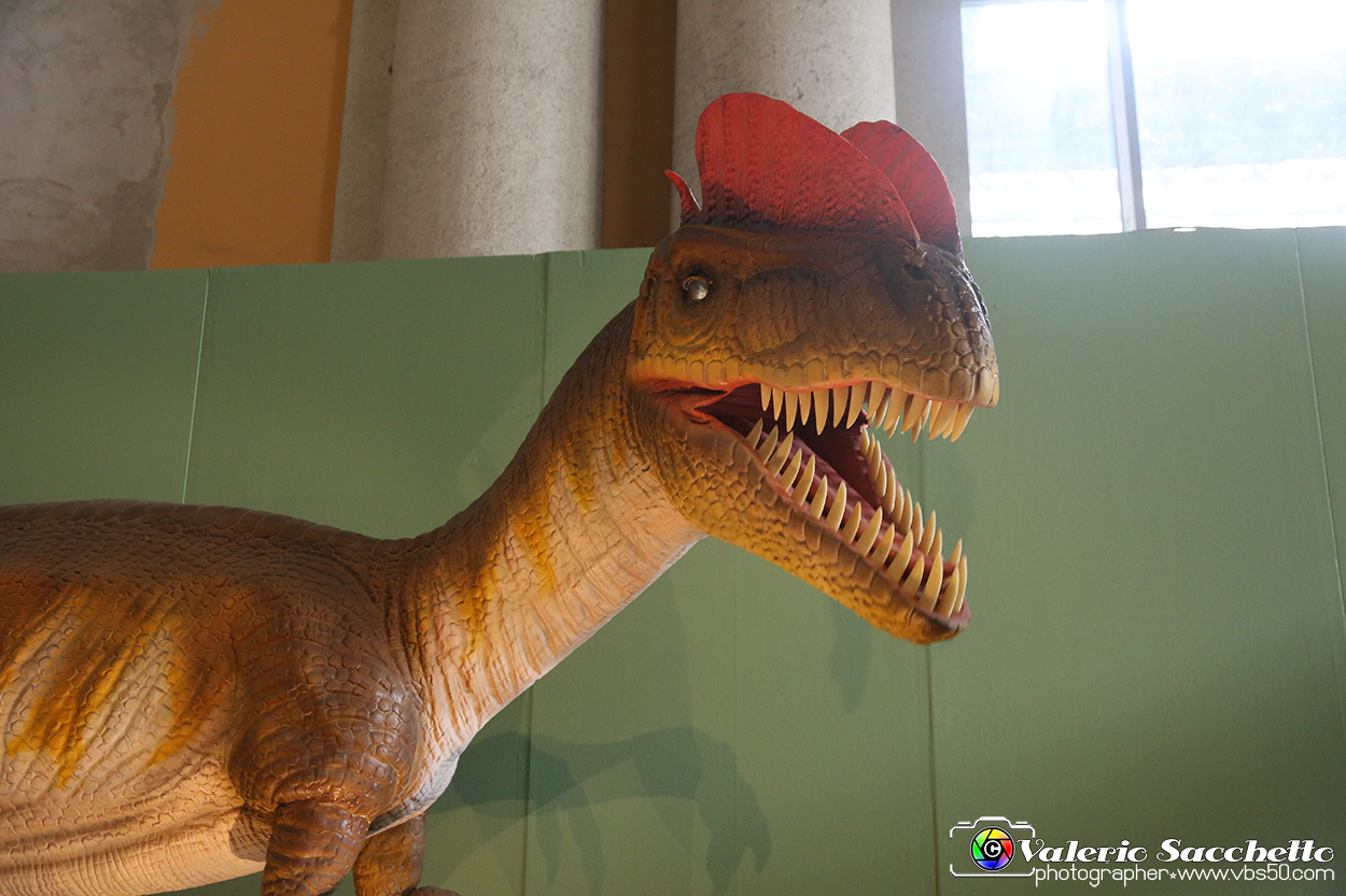 VBS_0980 - Dinosauri. Terra dei giganti.jpg